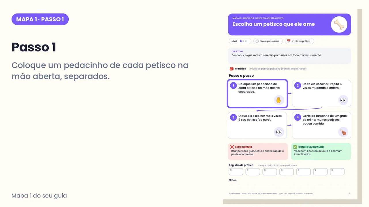 Lição do minicurso